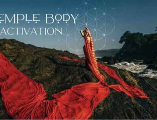 Dance First Spotlight on Temple Body Activation with Sofiah Thom!