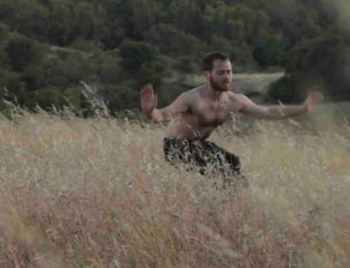 Monday Love Spotlight on Natan Daskal!