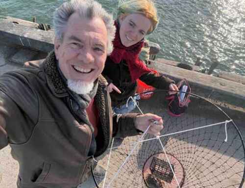 Monday Love to your Lifelong Levity