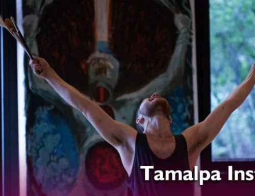 Monday Love Member Spotlight on the Tamalpa Institute!